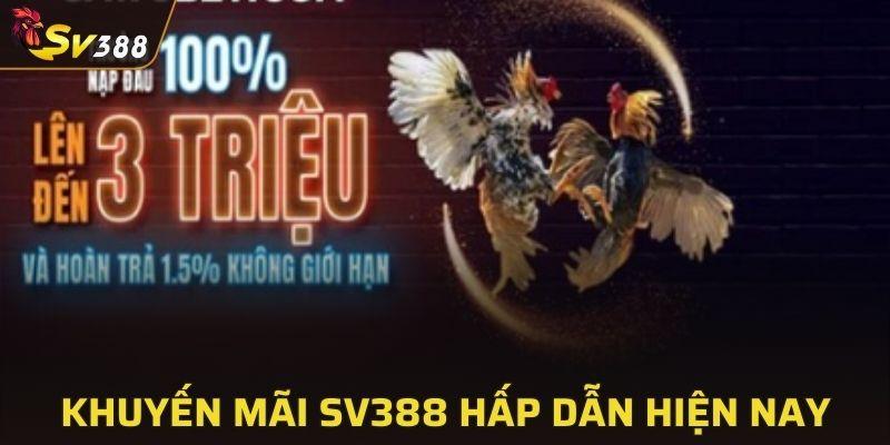 Khuyến mãi nhà cái hấp dẫn thu hút thành viên