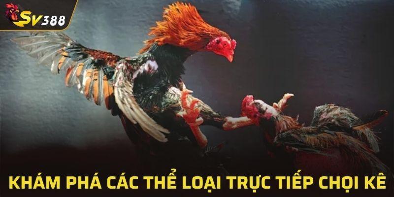 Những chiến binh oanh liệt chiến đấu cùng SV388