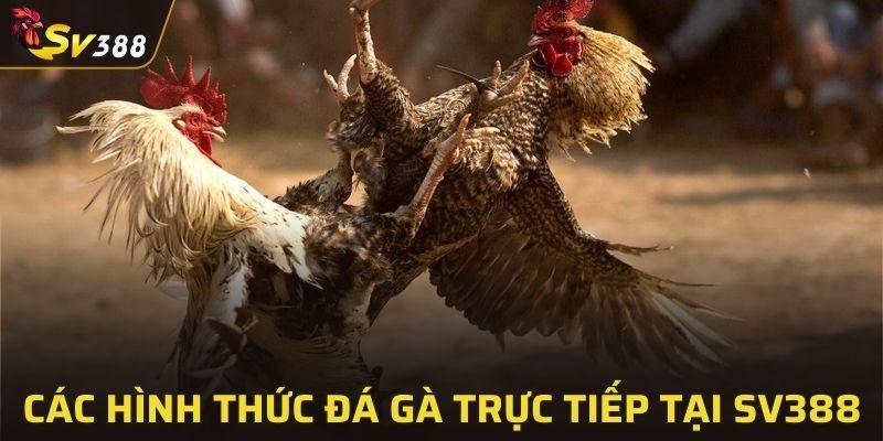 Danh sách hình thức đá gà trực tiếp tại SV388