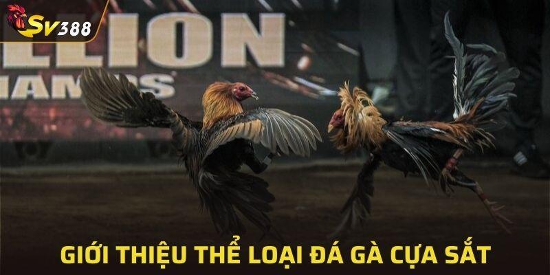 Khái niệm về đá gà cựa sắt