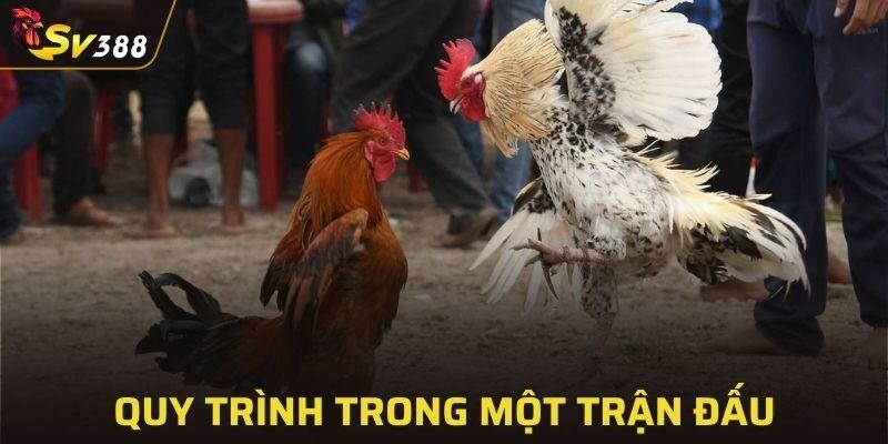 Giới thiệu về quá trình tham gia trận đấu