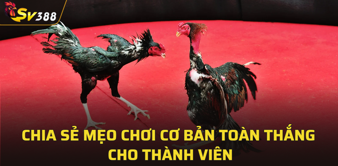 Chia sẻ mẹo chơi cơ bản toàn thắng cho thành viên