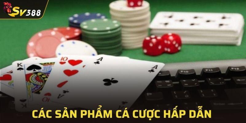 Sân chơi mang đến cho người chơi kho tàng cá cược đa dạng