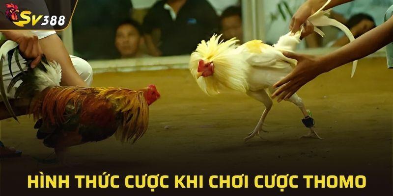 Phổ biến các hình thức cược hấp dẫn