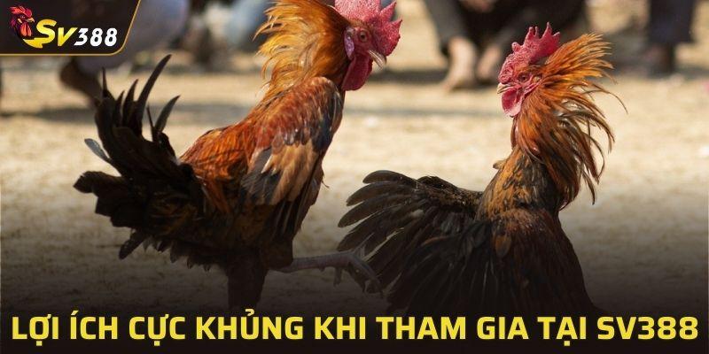 4 ưu điểm nổi bật khi tham gia cược tại SV388