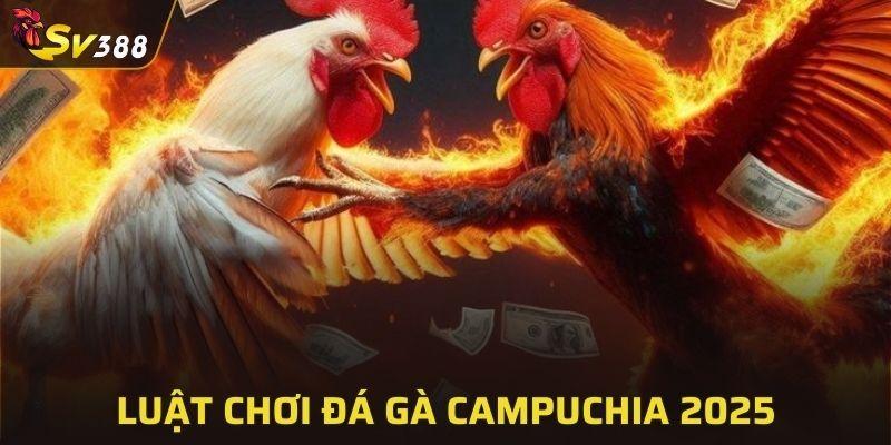 Luật chơi đá gà Campuchia 2025