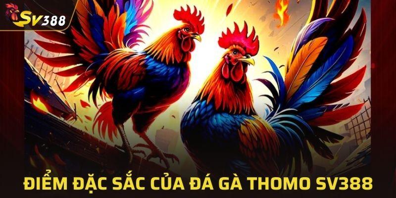 Điểm đặc sắc của đá gà Thomo SV388